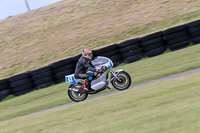 PJ-Motorsport-2019;anglesey-no-limits-trackday;anglesey-photographs;anglesey-trackday-photographs;enduro-digital-images;event-digital-images;eventdigitalimages;no-limits-trackdays;peter-wileman-photography;racing-digital-images;trac-mon;trackday-digital-images;trackday-photos;ty-croes